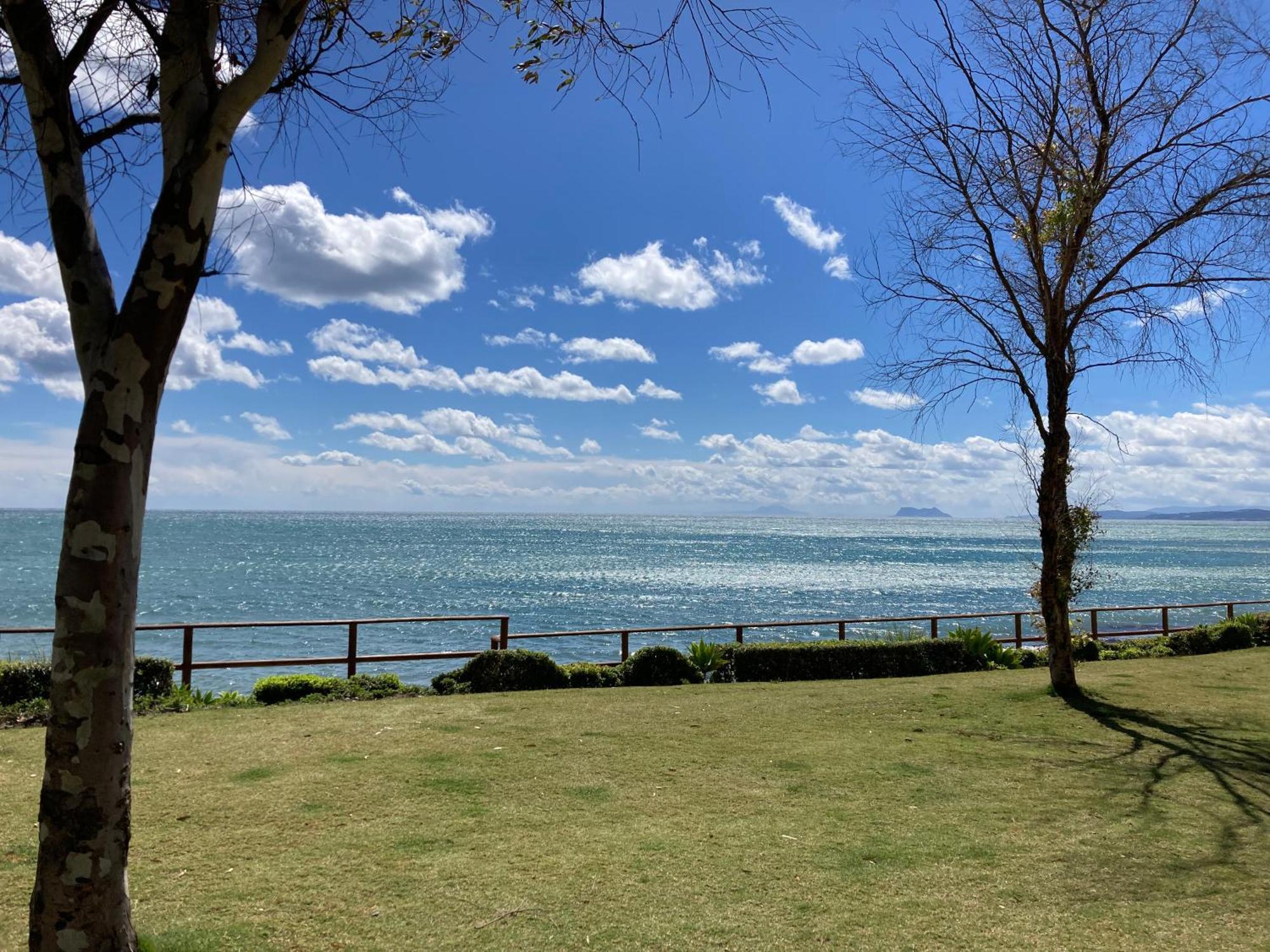 Bright Seafront Apartment-bahia De La Plata-4 People Apartment Estepona